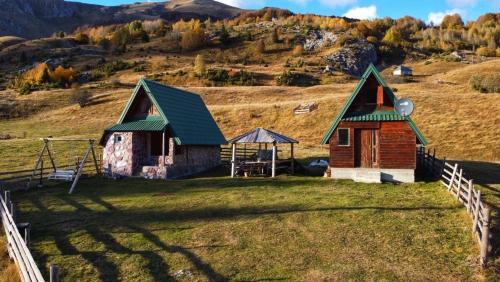 Montenegro Apartment | Forest fruit Jelovica
