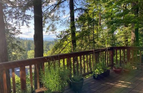 Western House | Forest Gallery- Mid-Century Modern With City Views