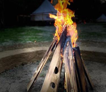 Vulcan Other | Forest Glamping