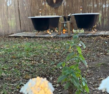 Lochiel Other | Forest Hillside Glamping Retreat