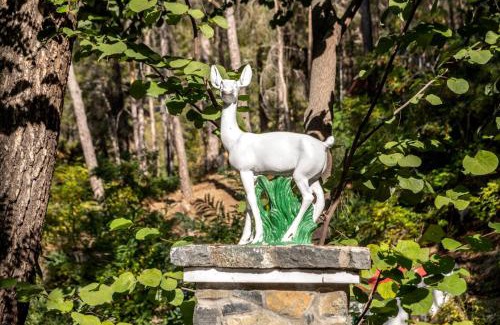 Platres Hotel | Forest Park Hotel