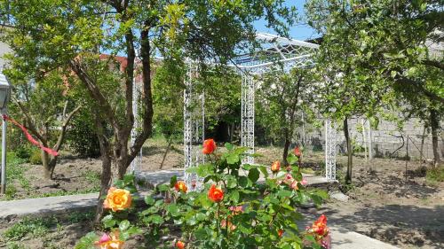 Divjake House | Fori Vodo