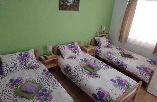 Vojvodina Apartment | Fortuna Apartments