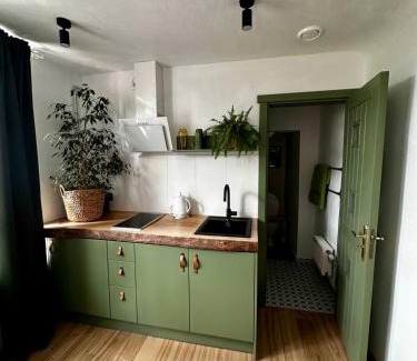 Tukums Apartment | Four Seasons Apartments