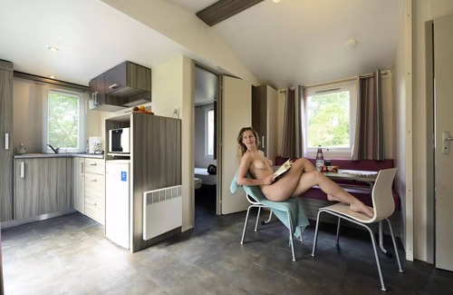 Saint-Martin-Lars-en-Sainte-Hermine House | Mobil Home Comfort Nalliers - 2 Schlafzimmer 4 Personen