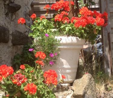 Saint-Priest House | Fraises des bois