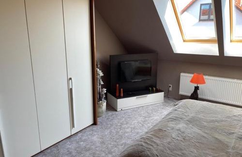 Witzin House | Freigeist Pension & Brasserie
