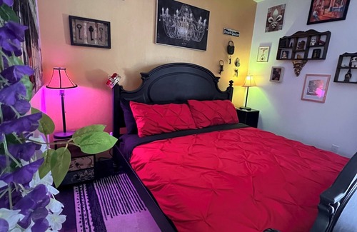 Bearss Plaza Hotel | French Quarter Garden Hotel Room Pool Hot Tub