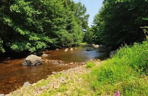 Saint-Pardoux-la-Riviere Other | Friendly Camping and Lodges