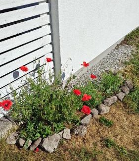 Tofta Villa | Fristående Bungalow