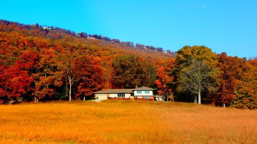 Lookout Valley Neighborhood Association House | Fryars' Green at Tennessee RiverPlace