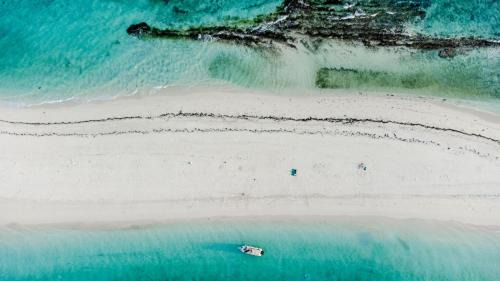 Msasani Peninsula Boat Rental | Full Day Boat Cruise mbudya