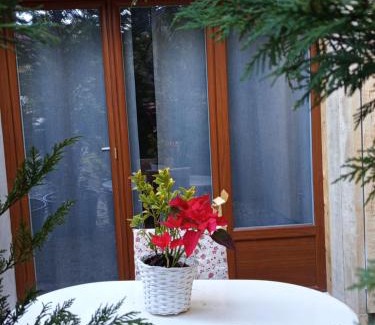 Chatillon-en-Michaille Apartment | Fully equipped studio