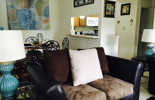 North San Antonio - SAT Condo | Fully Furnished and Corporate Housing Condos!