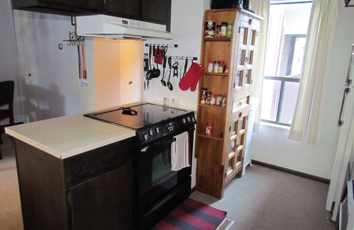 Georgetown Condo | Fully Furnished Georgetown CO Ski Condo. Across street from lake, 1 Br Plus Loft