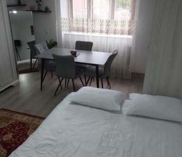 Sighetu Marmatiei House | Fully Furnished Studio
