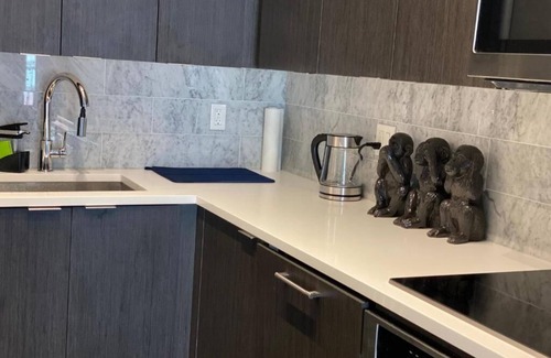 Fort York Condo | Fully Furnished spacious condo unit