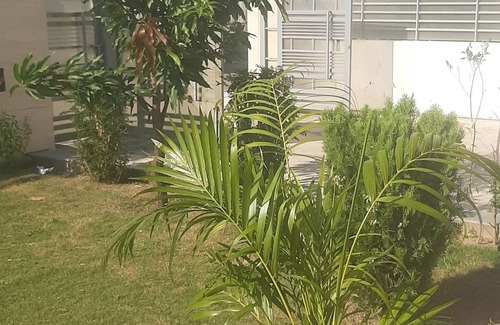 Mohali Villa | Fully Furnished Villa with lawn available for stay & parties/Functions at Mohali