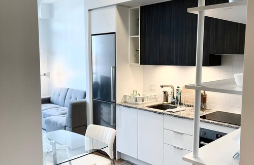 Old Town Condo | Furnished Luxury Downtown Condo, 2 Bedrooms 2 Full Washrooms and Large Balcony