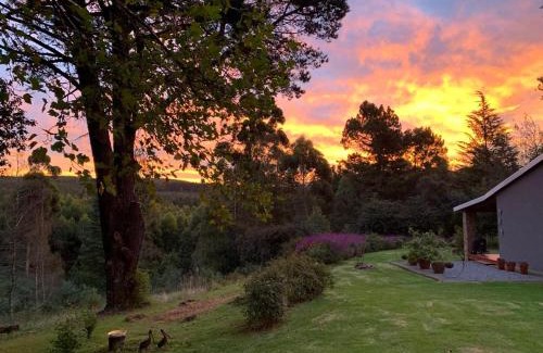 Hogsback Apartment | Further Beyond