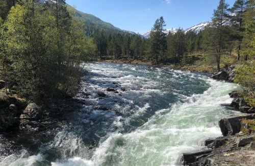 Skjaak Other | Furuly Camping
