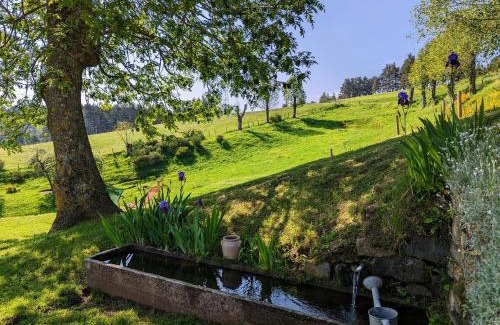 Saint-Prejet-d'Allier House | Gîte au calme avec équipements PMR, parking, animal accepté - FR-1-582-59