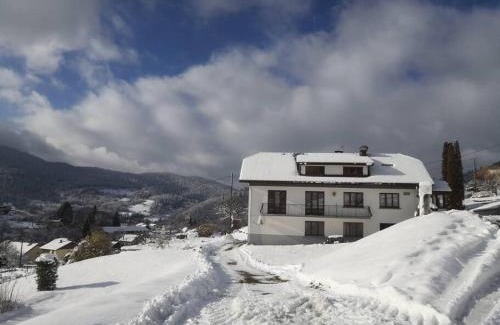 Saint-Maurice-sur-Moselle Apartment | Gîte au pied du Mont