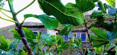 Zaouiat Ahansal House | Gîte Baraka Taghia