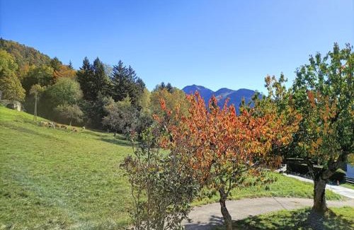 Viuz-en-Sallaz House | Gîte Cœur de Haute-Savoie