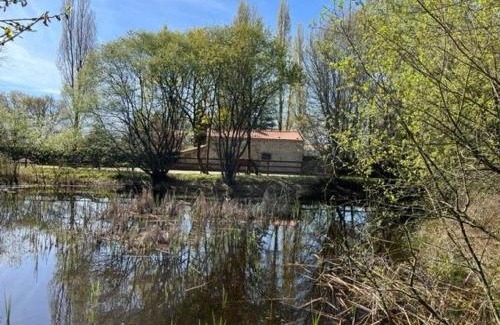 Mauves-sur-Loire House | Gîte charmant, spacieux, à 15 km de Nantes, 2 chambres, terrasse, parking, animaux acceptés - FR-1-306-1238
