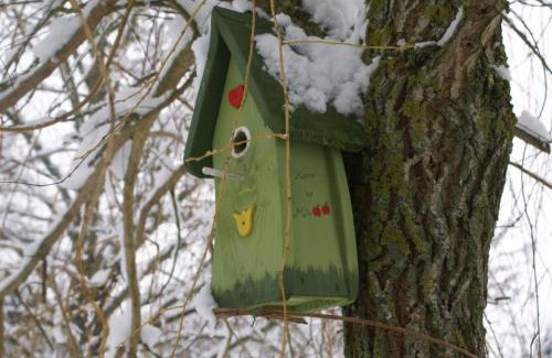 Boissets House | Gîte cosy et rénové à Boissets avec jardin clos, WiFi, proche randonnées et sites touristiques. - FR-1-527-46