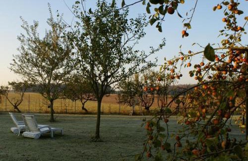 Boissets House | Gîte cosy et rénové à Boissets avec jardin clos, WiFi, proche randonnées et sites touristiques. - FR-1-527-46