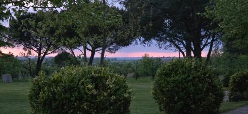 La Romieu Bed & Breakfast | Gîte de Beausoleil