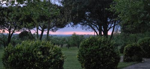La Romieu Bed & Breakfast | Gîte de Beausoleil