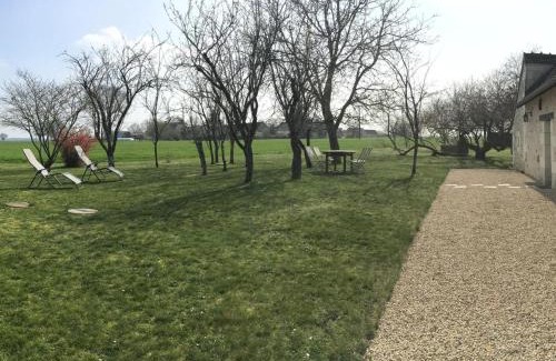 Betz-le-Chateau House | Gîte de charme du XVIIIe avec jardin, proche des châteaux et vignobles de Touraine, équipements inclus - FR-1-381-365