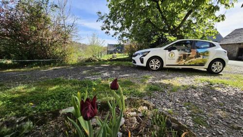 Chaumeil Apartment | Gîte de France Des alpagas 2 épis - Gîte de France 6 personnes MAE-9784