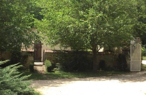 Saint-Benoit-la-Foret House | Gîte Familial en Forêt près de Chinon avec Jeux et Terrasse - FR-1-381-232