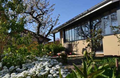 Chazelles-sur-Lyon House | Gîte Familial 200m² avec Jardin, Terrasse, Jeux, et Confort Moderne à Chazelles-sur-Lyon - FR-1-496-203
