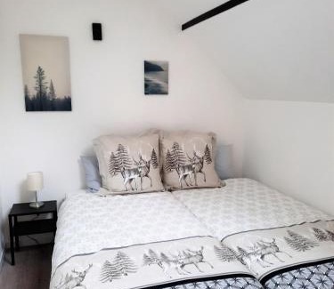 Kruth Apartment | Gîte L'Equilibre - Lac/montagnes- Familles-groupes