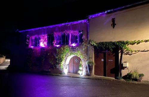 Pfaffenheim Apartment | Gîte le Chaudron
