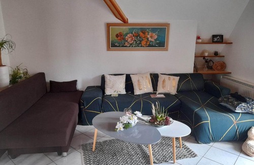 Mutzig Apartment | Gîte Le Jardin de Hermolsheim. Alsace très spacieux