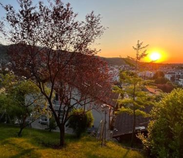Thann House | Gîte les Rosiers du Blosen