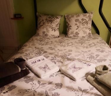 Saint-Julien-de-Cassagnas Apartment | Gîte Ma Vie Là 3 étoiles, jacuzzi, animaux acceptés