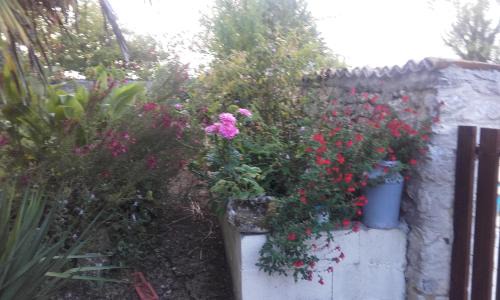 Allas-Bocage House | Gîte Rouge Calme et Nature