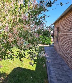 Pont-a-Lesse House | Gîte rural "L'Anseromia"