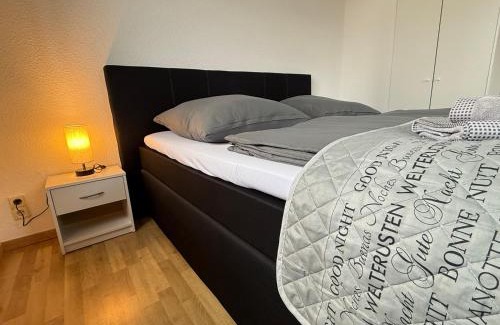 Mylau Apartment | Göltzschtal Apartment