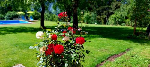 Sankt Stefan im Gailtal Apartment | Gailtaler Apartments Alinkhof