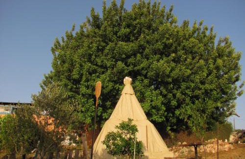 Tabash Cabin | Galilee Bedouin Camplodge