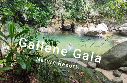 Kithulgala Resort | Gallene Gala Nature Resort