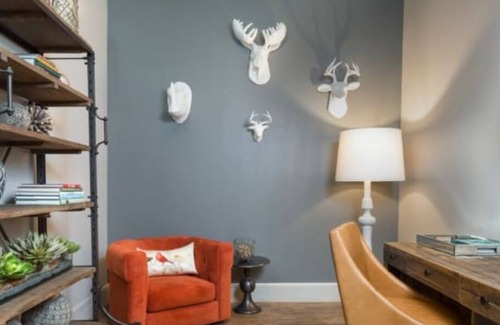Boulevard Oaks Apartment | Galleria, Rice Village, The Medical Center, Design & Museum Districts
